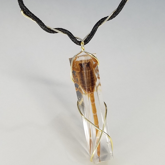 🦇𝕸𝖞 𝕺𝖉𝖉𝖎𝖙𝖞 𝕾𝖍𝖔𝖕🦇 - Picture 8 of 16